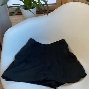 zara kort kjol - storlek S  i perfekt skick aldrig använd