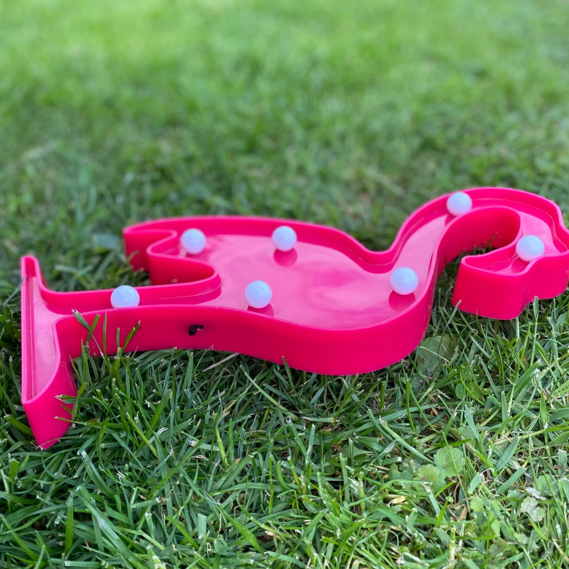 Lysande flammingo - 91