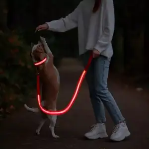  Specification Product Name Usb Rechargeable Led Dog Leash Material Nylon and polyester webbing Features Sustainable, Stocked, Reflective Colors Blue/Yellow/green/White/Pink/Orange/Red 