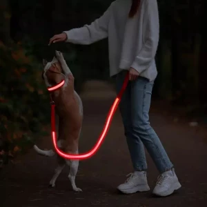 Usb Rechargeable Led Dog Leash  -  Specification Product Name Usb Rechargeable Led Dog Leash Material Nylon and polyester webbing Features Sustainable, Stocked, Reflective Colors Blue/Yellow/green/White/Pink/Orange/Red 