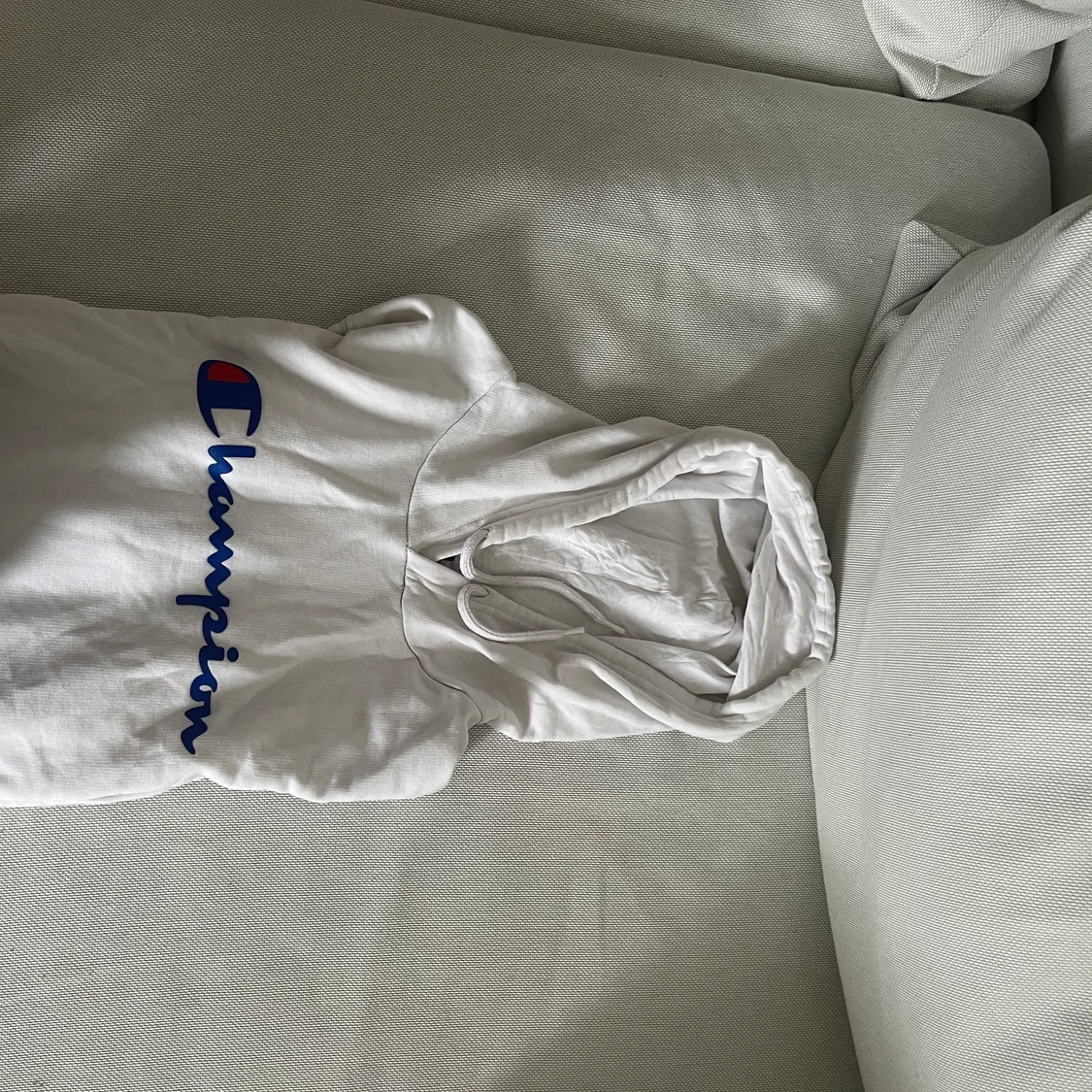 Vit champion hoodie - 91