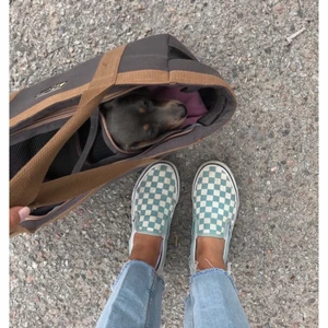 Checkered vans - Säljer dessa så fina vans i storlek 37! Lite smutsiga men det går lätt bort!