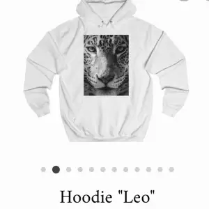 Jag säljer en the cool elephant hoodie I formatet ”Leo”  Den är ganska använd därför säljer jag den för 200, nypriset var 599. Den är vit stl s. 