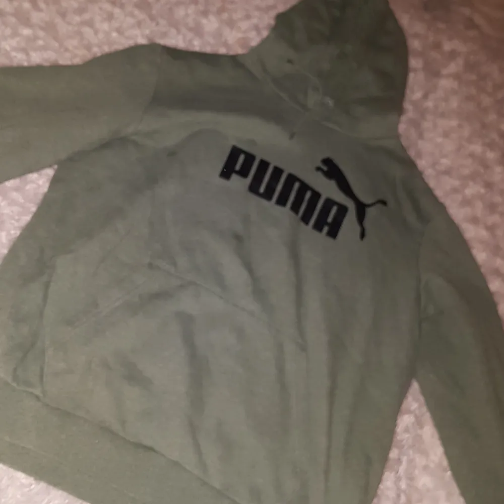 Puma hoodie i herrstorlek så stl L knappt använd. Säljer den för 200:- köparen står för frakten . Hoodies.