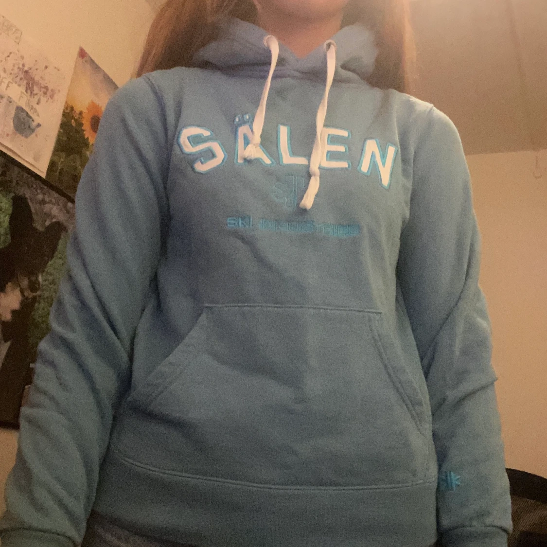 En vanlig sälen tröja!