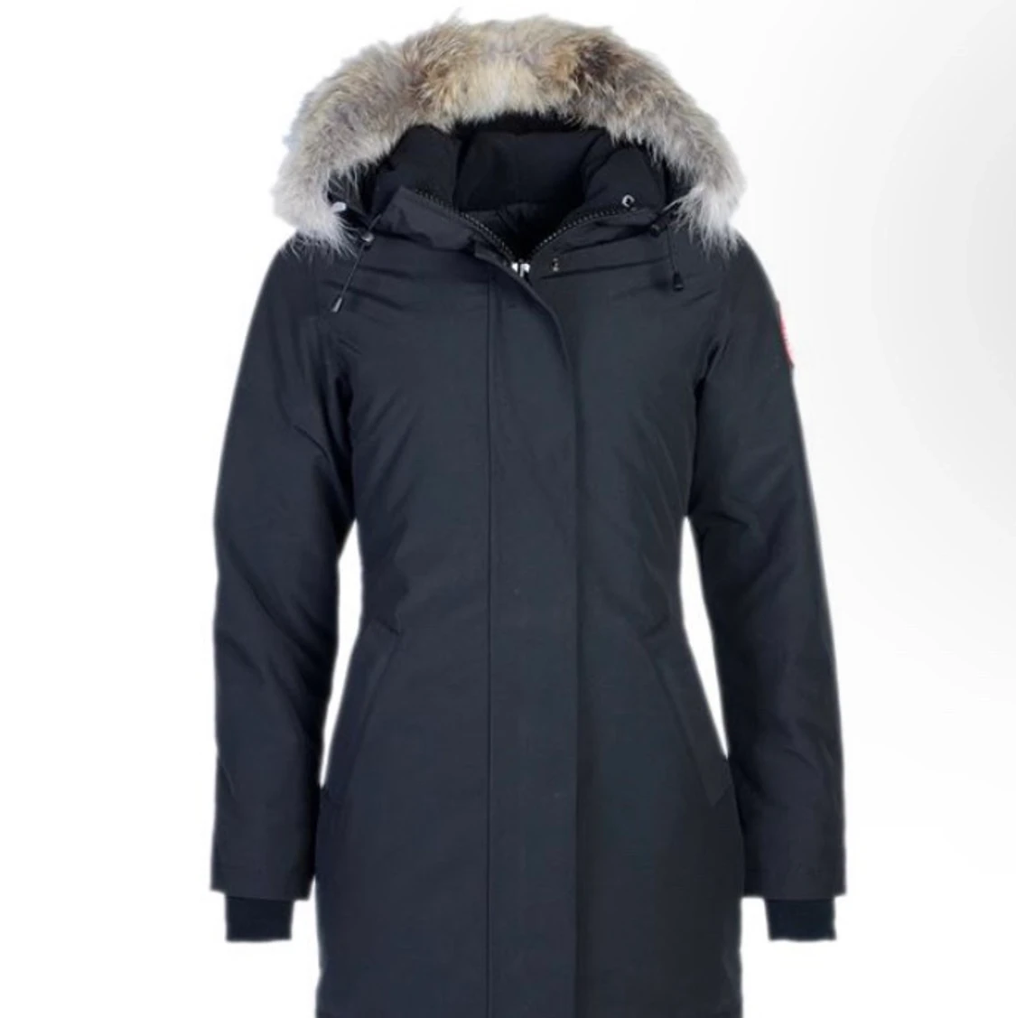 Canada goose Jacka