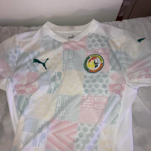Senegal hemmatröjan 2021 - Senegal hemma tröja bra skick använd några gånger riktigt fin för alla mané fans Size s  Kan frakta 
