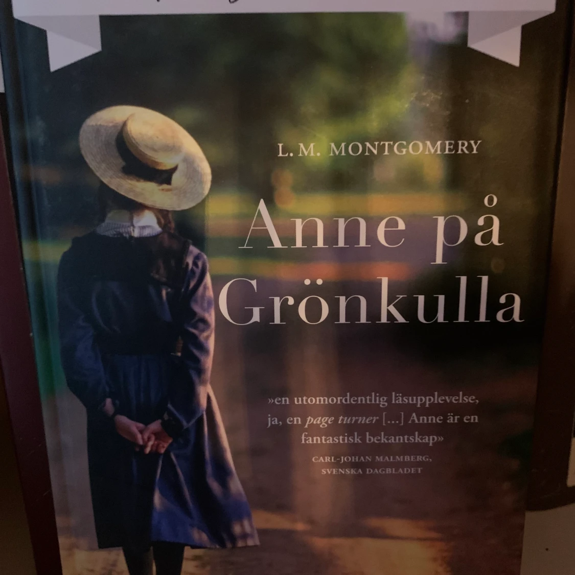 Anne på grönkulla
