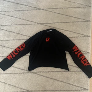 Långärmad tröja från Carlings - Jättecool tröja i knappt använt skick. Text ”Wicked” på bägge ärmarna. Storlek M men passar S-L. 