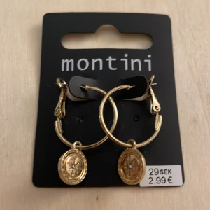 Montini örhängen - Köptes för 30kr som en present men blev inte bra och därför säljs dessa oöppnade örhängen för 15kr