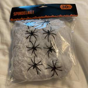 Halloween spindelnät som aldrig blev använt av mig, haha. Man får med 8 roliga fake spindlar med i paketet som man ser på bilden. Dem var köpte ifrån dollarstore! Det går att töja ut spindelnätet så det blir större och längre!