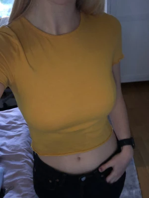 Tight t-shirt  - Jättefin topp som jag tyckt om mycket, jättefin lejongul färg :)