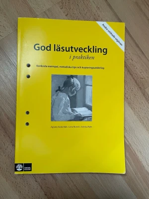 God läsutveckling i praktiken - Kursbok med gul framsida och svart text, titeln 'God läsutveckling i praktiken'. Innehåller konkreta exempel, metodiska tips och kopieringsunderlag för läsutveckling. Tre hål i sidan för pärm. Andra reviderade upplagan. Författare: Agneta Hedenfalk, Lena Munck, Annika Palm.