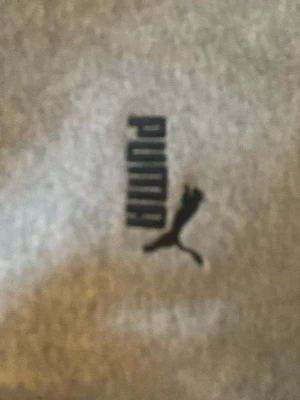 Grå hoodie från Puma - Säljer en klassisk grå hoodie från Puma med svart logga på bröstet. Hoodien har huva och en stor magficka framtill. Tillverkad i mjukt sweatshirtmaterial som är perfekt för chill dagar eller träning.