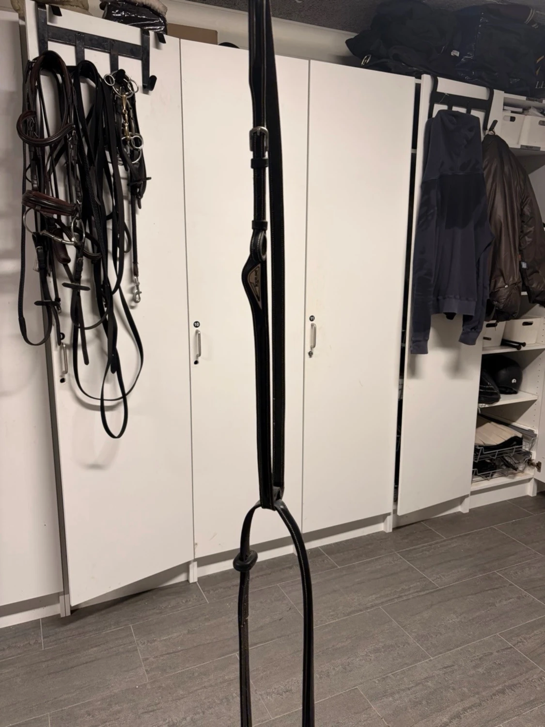 Equiline martingal  - 1
