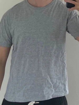 T-shirt  - Grå T-shirt. Storlek S. 