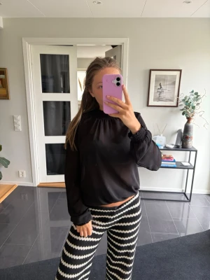 Svart blus med hög krage - Säljer en svart blus med hög krage och långa, lätt transparenta ärmar. Blusen har resår vid ärmsluten och runt halsen för en snygg puffig effekt. Perfekt att styla med både jeans och kjol.