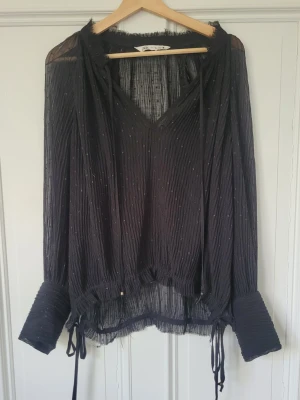Svart transparent blus med glitter - Svart transparent blus från Zara med plisserat tyg och små glittriga detaljer. V-ringad med långa ärmar och breda manschetter. Knytband med fjädrar och gulddetaljer vid halsen ger en cool och trendig look.