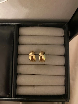 Örhängen  - Örhängen 