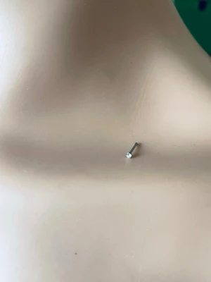 Prisförslag-  silverfärgat näs piercing  - Minimalistiskt näspiercing i stiftmodell med en liten, klar sten framtill. Det är silverfärgat och har en enkel, rak form som ger en stilren look. Perfekt för dig som gillar diskreta smycken med en touch av bling.
