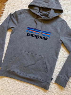 Grå Patagonia hoodie med tryck - Säljer hoodien i storleken S men den kan även passa M | Nypriset ligger på 1099 | Hör gärna av dig!