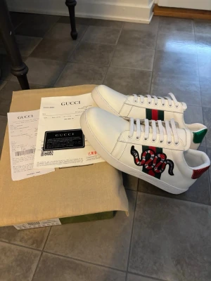 ace snake skor - Säljer nu mina helt oanvända skor. säljes då dem är för små för mig.