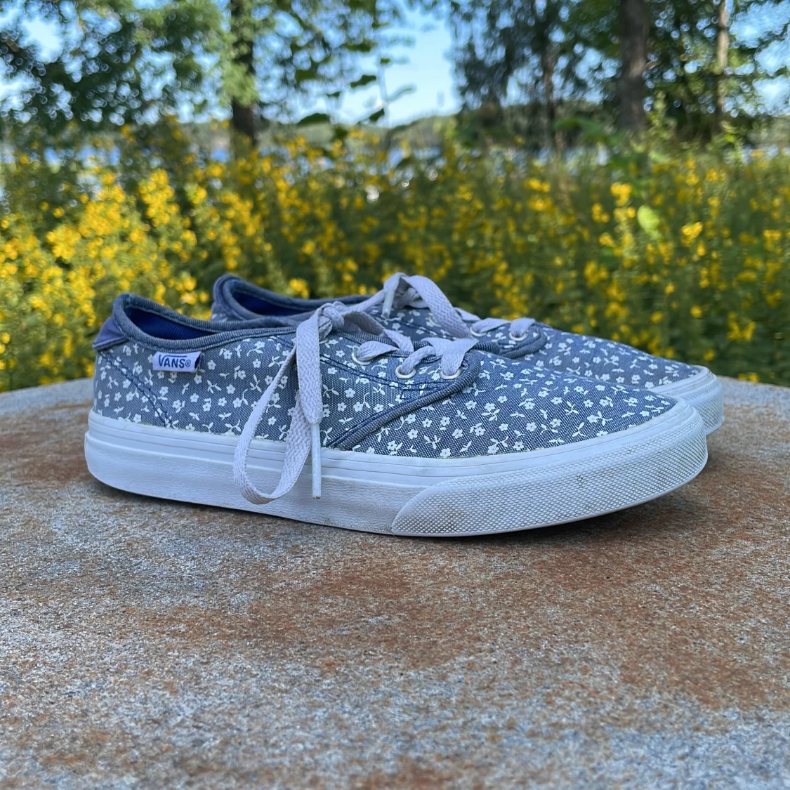 Vans skor