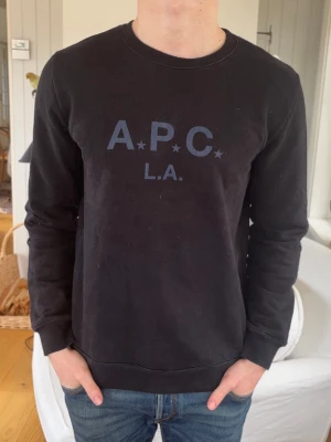 APC Sweatshirt - medium modell: 182cm, 72kg