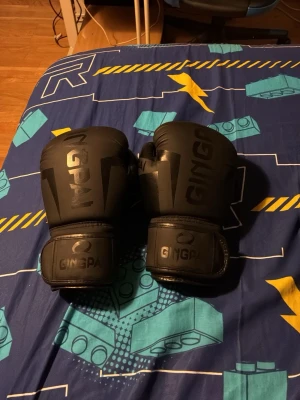 Svarta boxningshandskar GINGPAI - Säljer ett par svarta boxningshandskar från GINGPAI. Handskarna har en stilren design med matt finish och bred kardborrestängning vid handleden för extra stöd. Perfekta för träning den passar 12-14 åringar och funkar till boxing eller Andra kampsporter.