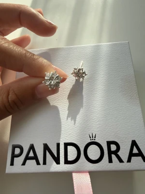 Silver örhängen  - Säljer ett par snygga silvriga örhängen i form av snöflingor. Örhängena har gnistrande stenar som ger en lyxig känsla och är perfekta för dig som gillar detaljerade accessoarer. Klassisk stiftmodell och elegant design.