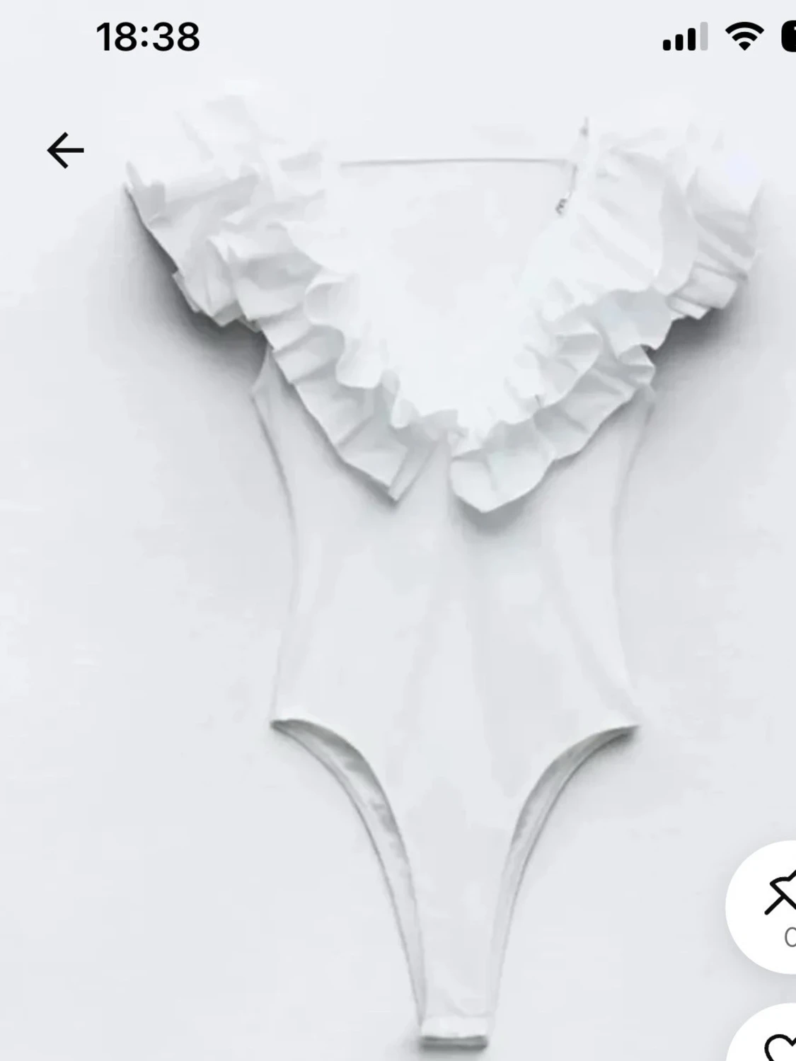 body