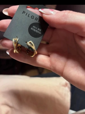 Guldpläterade örhängen från Pilgrim - Snygga guldpläterade örhängen från Pilgrim med tvinnad design och små gnistrande stenar längs ena sidan. Örhängena har en elegant och modern look som passar perfekt till din stil. Levereras i originalpåse från Pilgrim.