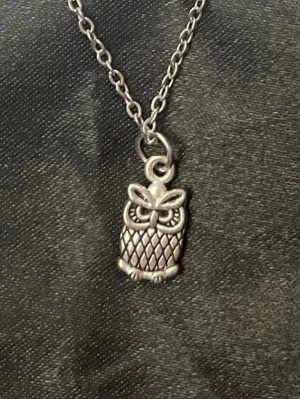 Uggla halsband silver imitation Owl Jewelry - Fint halsband med en berlock i form av en liten uggla. Berlocken är ca 1 x 0,5 cm. Trädd på kedja i silverimitation som är justerbar 40-45 cm