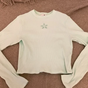 Ljusgrön ribbad tröja från H&M - En ljusgrön ribbad tröja från H&M med ett broderat blommönster på bröstet. Tröjan har långa ärmar och en rund halsringning. Använt 1 gång.