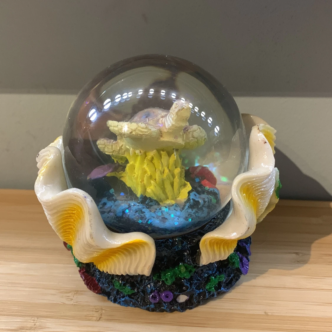 Snöboll med en sköldpadda i - 90