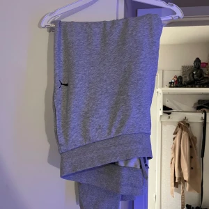 Puma mjukisar  - Puma mjukisar 