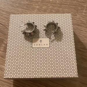 Edblad örhängen  - Jätte fina Erikas örhängen som inte kommer till användning då jag är mer en guld person, jätte fint skick!! 💘💘