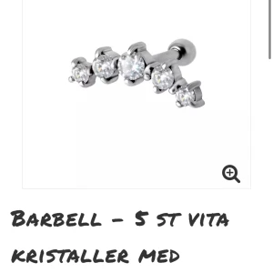 Helix smycke  - Säljer detta dina smycke då jag köpte fel åt en kompis 😅Aldrig använt men öppnat så kan ej skicka tillbaka 🙃