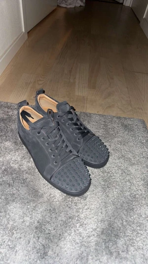 Christian Louboutin  - Christian Louboutin   Strl 45  Cond 9/10