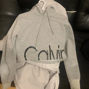 En grå Hoddie  - En grå vanlig Hoddie 