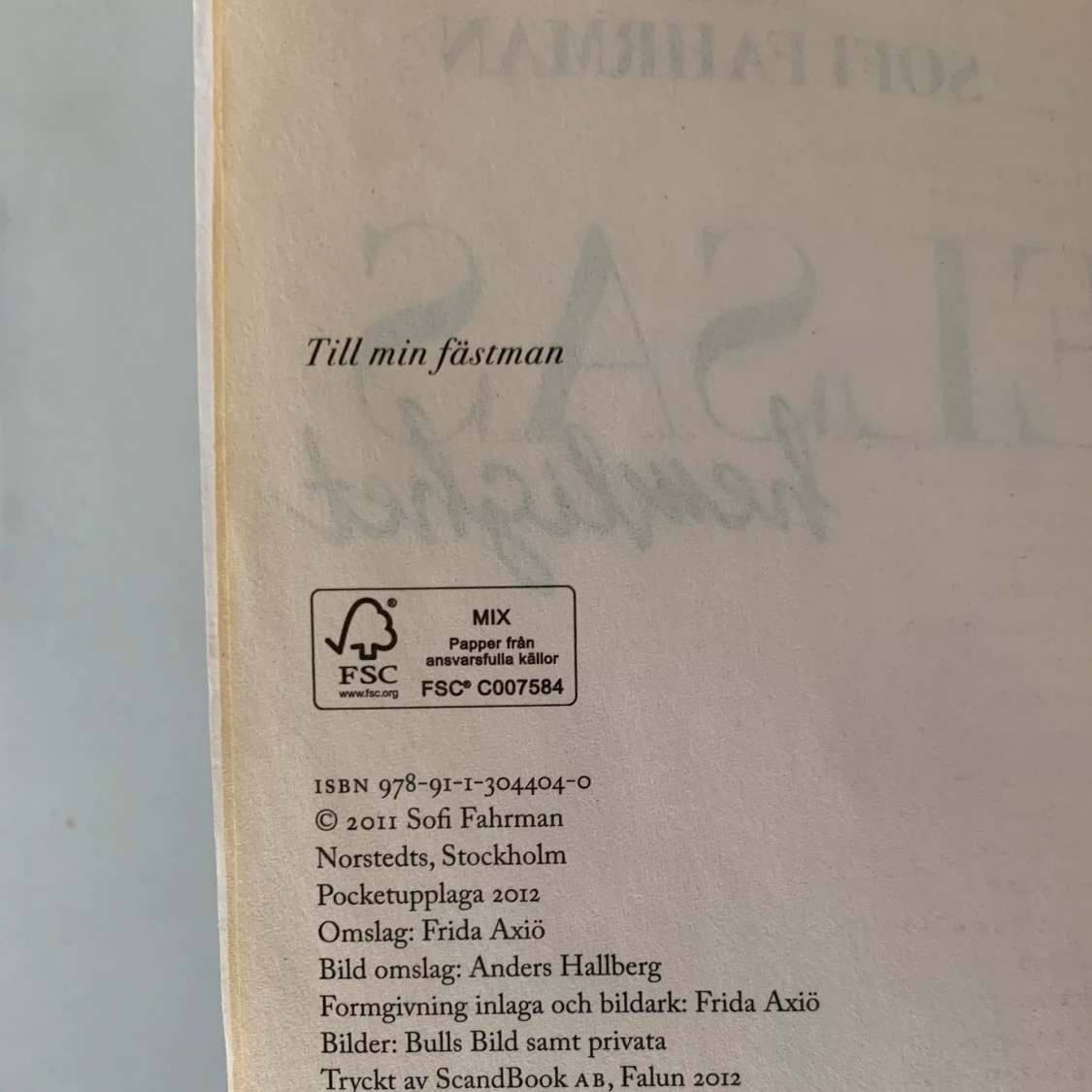 Elsas Hemlighet - Sofi Fahrman, pocketbok - 91