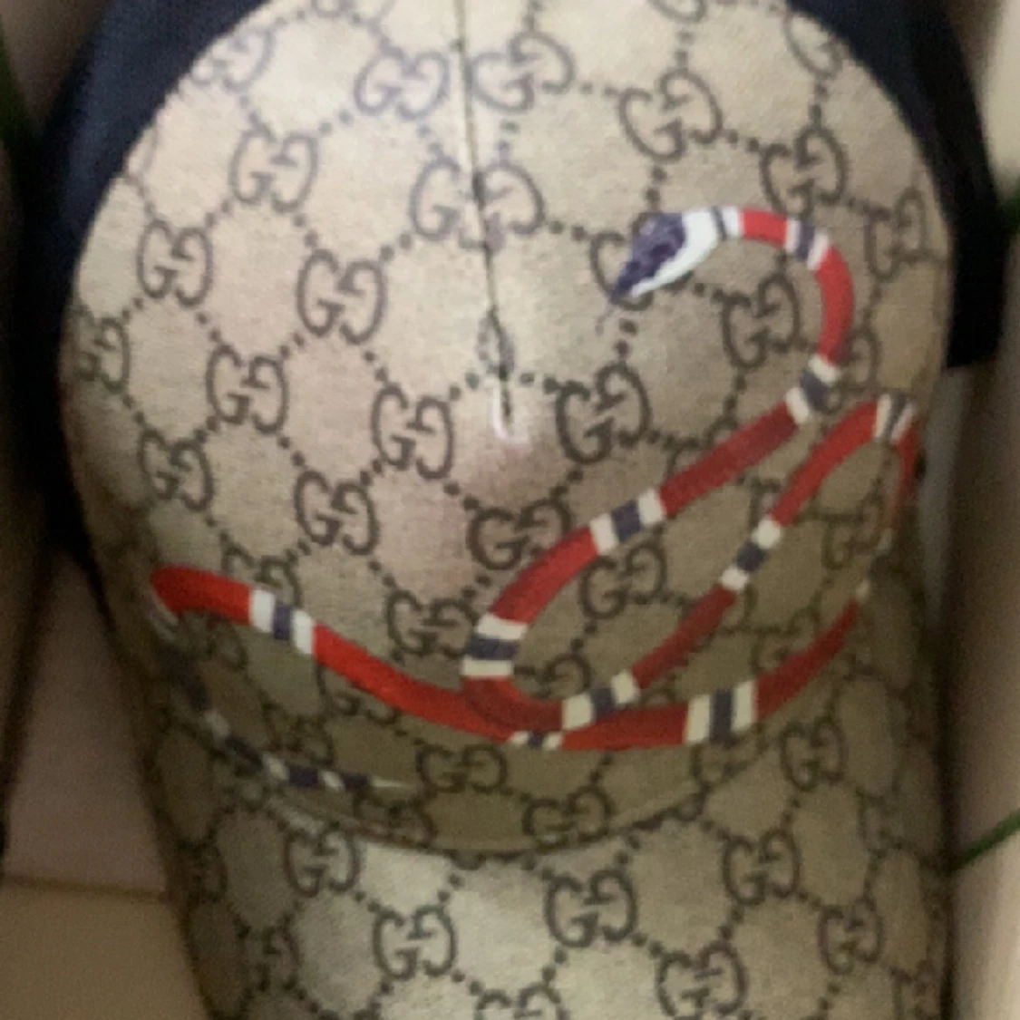 Gucci kingsnake keps  - 91