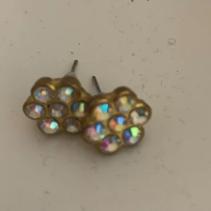 Örhängen - Örhängen formade som blommor ganska stora. 