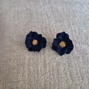 Örhängen  - Så fina. Aldrig använt dom. Mörkblåa med guld i mitten.