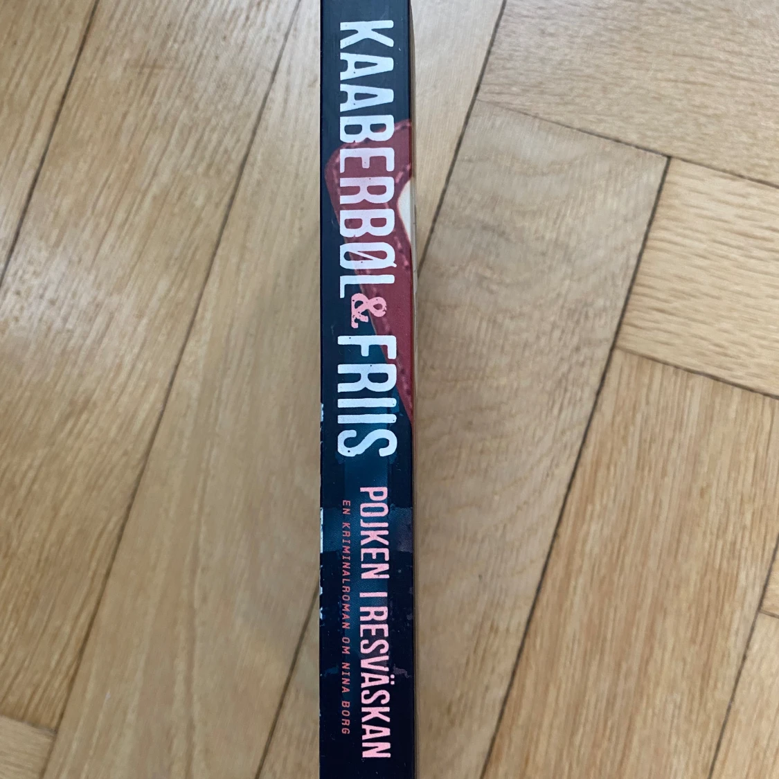 Pojken i resväskan av Lene Kaaberbøl och Agnete Friis - 91