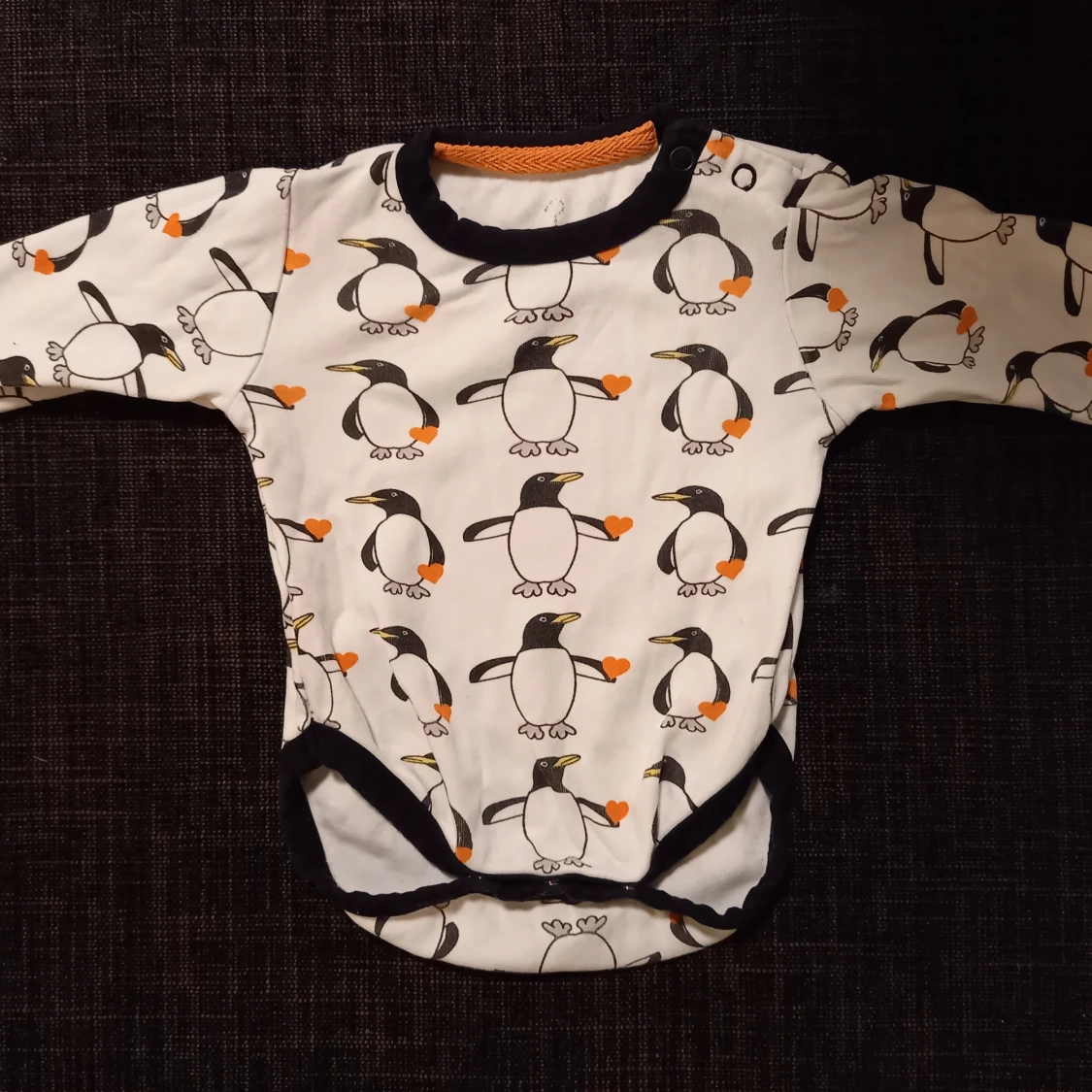 Pingvinbody strl. 56