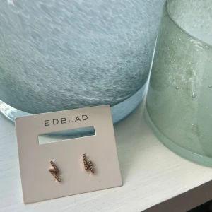 Örhängen från Edblad - Helt nya örhängen från Edblad!!