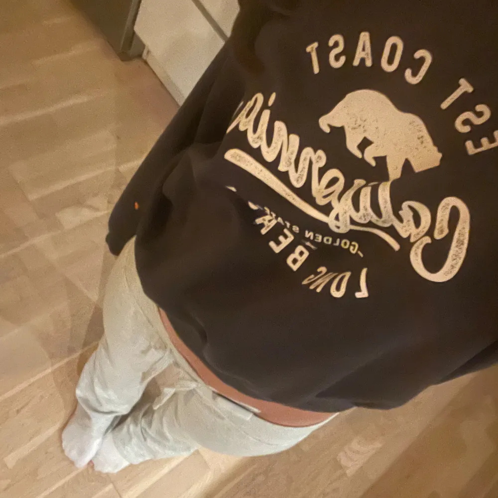 Mysig tröja köpt för 400 på Bikbok för nått år sen!💕. Hoodies.