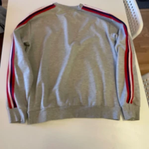Grå tröja-zara  - Grå tröja med detaljer från zara som har varit mitt favorit plagg men inte kommer till användning för att den passar inte mig 😨  Super bra skick😛   Priset kan diskuteras 🫵