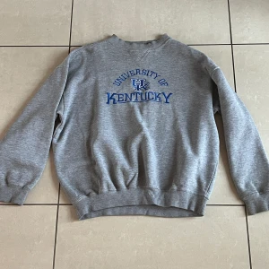 Vintage grå sweatshirt - Vintage grå sweatshirt köpt secondhand. Perfekt passform!! Från Crable Sportswear, stl XL men skulle säga mer som en M/L. Bra skick, förutom ett par små små hål längst ner vid mudden, som fanns redan när jag köpte den!! Inget som syns/märks!